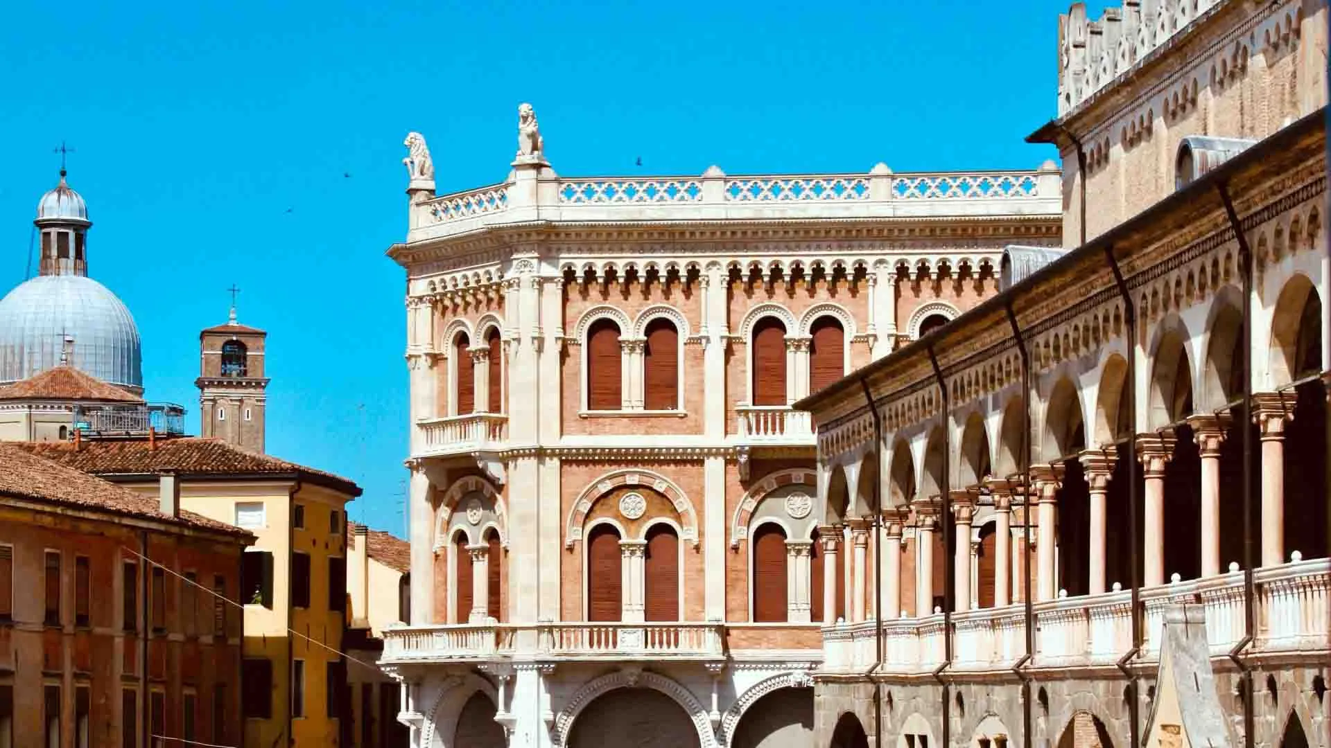 Padova Üniversitesi